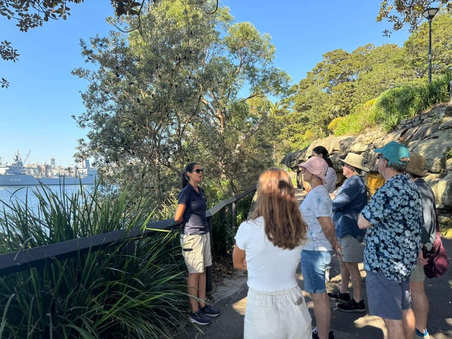 1/2 day Sydney Sightseeing and Bondi Beach Tour - Bondi Beach for up to 1 hour: your chance to actually enjoy the coast