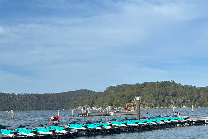 1.5 Hr Jet Ski Safari - Safety First Without Killing the Fun