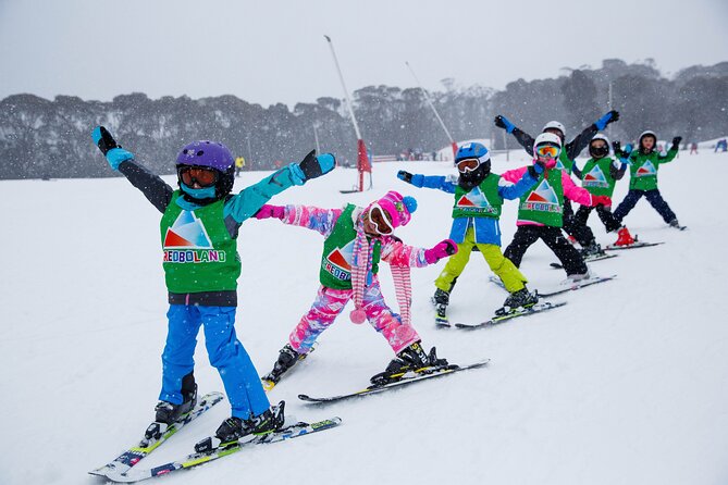 1 Day Perisher Snow Tour - Key highlights you should care about