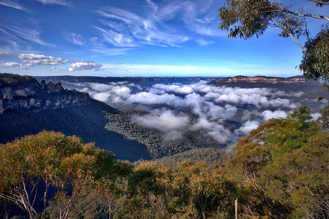 1 Day Perisher Snow Tour - 5am stop in Cooma or Jindabyne: rentals and breakfast are on you
