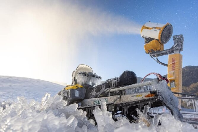 1 Day Perisher Snow Tour - The late-night pick-ups: Central Station and Parramatta