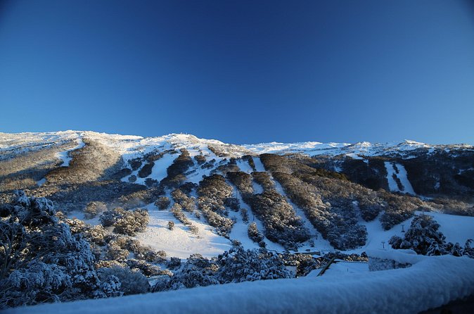 1 Day Thredbo Snow Tour - The Overnight Coach Ride: Comfort Plus Realistic Timing