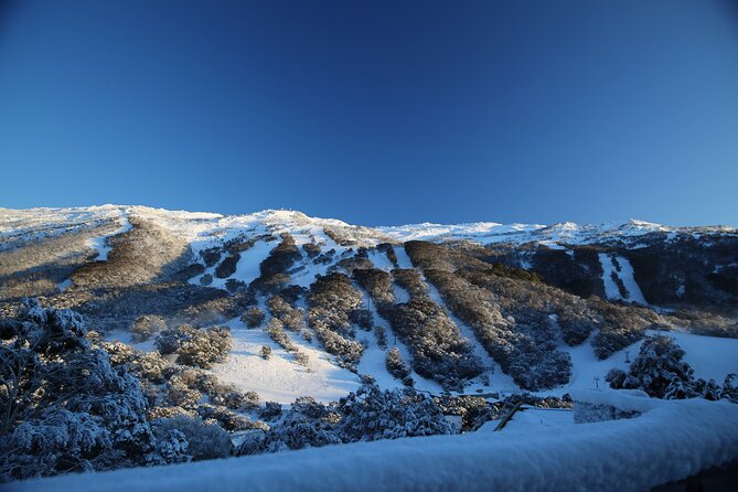 1 Day Thredbo Snow Tour - Ski Hire Stop: Helpful, But Decide What You Actually Need