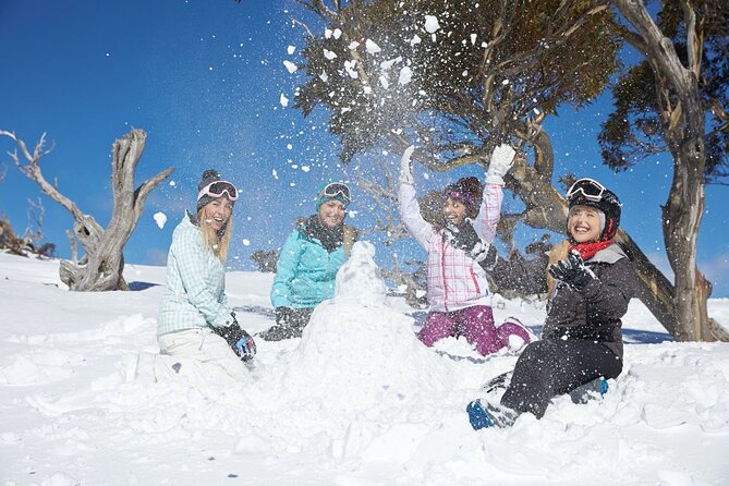 1 Day Thredbo Snow Tour From Sydney - What to do once you’re in Thredbo (ski, snowboard, and toboggan)