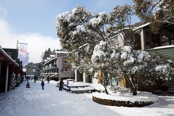 1 Day Thredbo Snow Tour From Sydney - The trip back to Sydney, plus the dinner stop around 6:45PM