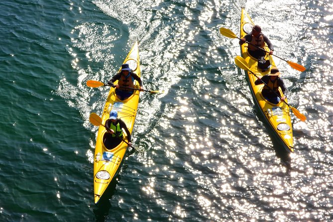 1 Hour Rental Deluxe Double Sea Kayak - A 1-hour double kayak rental is the quickest way to feel Sydney from the water