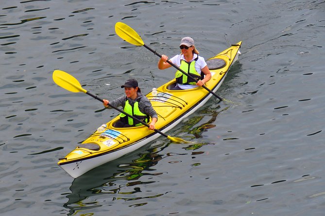 1 Hour Rental Deluxe Double Sea Kayak - What’s included with the deluxe double kayak, and what that means for your day