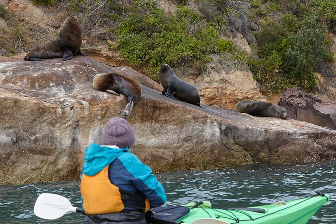 1 Hour Rental in a Deluxe Double Sea Kayak - Self-guided paddling: how to use the map and day-of advice