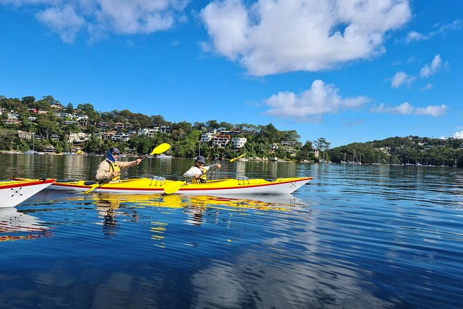 1 Hour Rental in a Deluxe Double Sea Kayak - Getting to 81 Parriwi Rd, Mosman, and starting on time