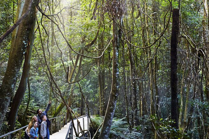 3 Day Private Tour in Blue Mountains and Kiama in Sydney City - How a private 3-day loop makes Sydney feel less like logistics