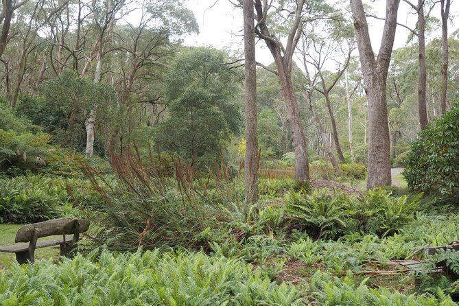 3 Day Scenic Tour of Blue Mountains from Sydney - Day 2 in Leura and at Scenic World: rides with real Blue Mountains views