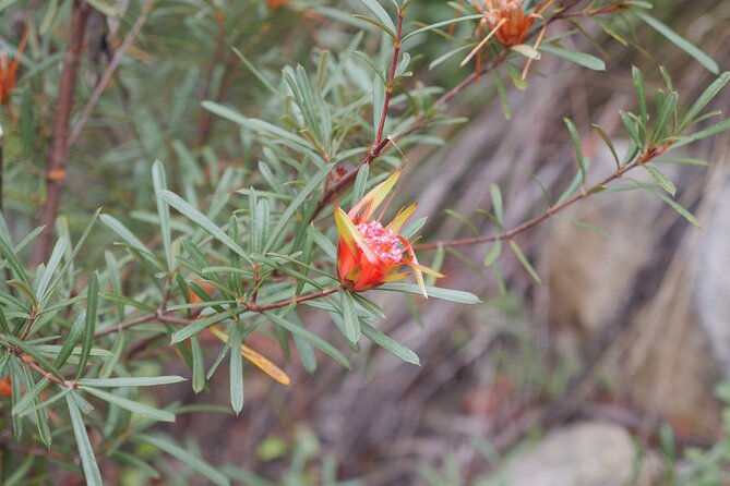 3 Day Scenic Tour of Blue Mountains from Sydney - Where you sleep: two nights in Katoomba