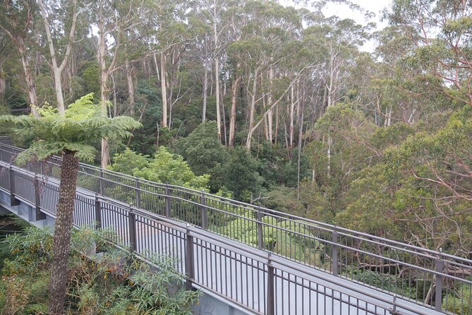 3 Day Scenic Tour of Blue Mountains from Sydney - Tips that make this tour feel smooth