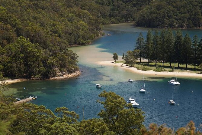 3-Hour Private Skippered Sailing Yacht Charter in Palm Beach - Broken Bay, West Head Cliffs, and the WW2 Fortification Remains