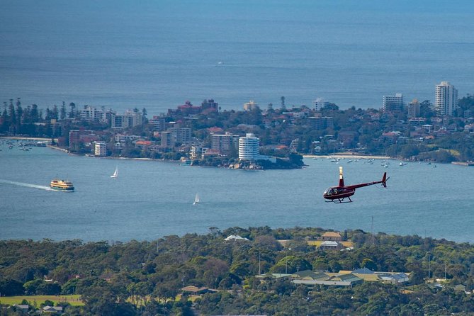 30-Minute Sydney Harbour and Olympic Park Helicopter Tour - Key things I’d bookmark before you book