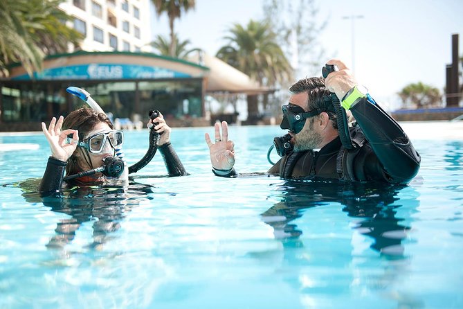 45 Minute Extreme Adrenaline Rush Ride - Your harbour line-up: what you’ll see, fast and close