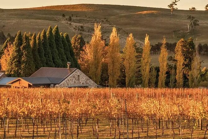A Day In The Vineyards || Luxury Private Winery Tour From Sydney - A private ten-hour taste trail from Sydney