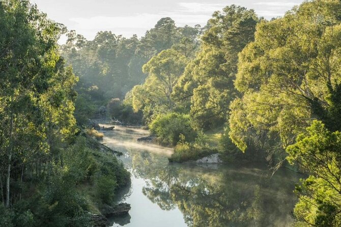 A Day In The Vineyards || Luxury Private Winery Tour From Sydney - Bendooley Estate: cheese and cool-climate wine by the lakeside vines