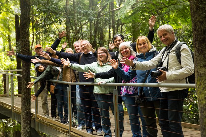 All Inclusive Blue Mountain,Scenic World,Lunch,Koalas,ferry - Three Sisters Lookouts With Real Cultural Meaning