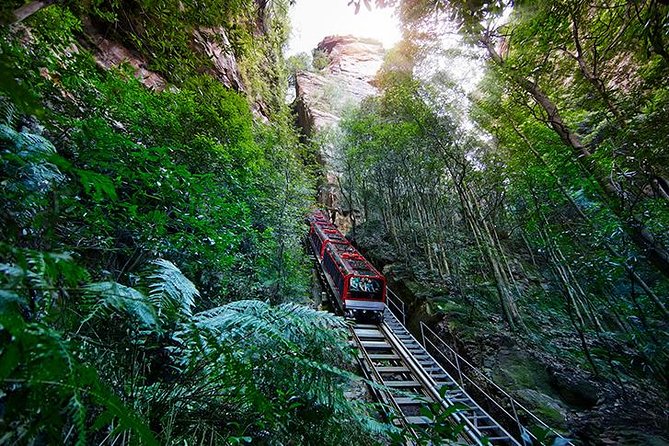 All Inclusive Blue Mountain,Scenic World,Lunch,Koalas,ferry - The Parramatta River Ferry Back to Circular Quay