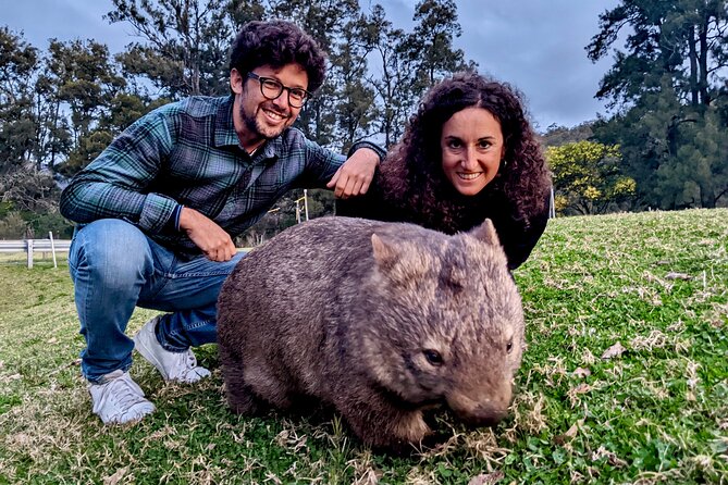 All Inclusive Blue Mountain,Scenic World,Lunch,Koalas,ferry - Timing and Weather: The Realities of a 10-Hour Day