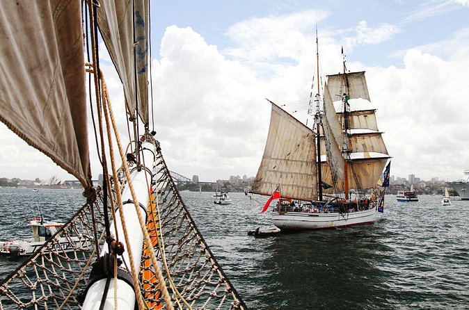 Australia Day Tall Ships Dinner & Fireworks on Sydney Harbour - Price and value: is $64 a fair deal?