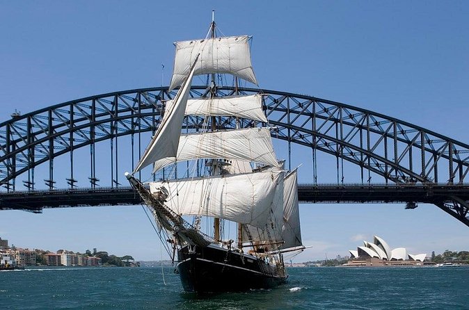 Australia Day Tall Ships Lunch & Race on Sydney Harbour - Choosing your departure: Southern Swan, Soren Larsen, or Coral Trekker
