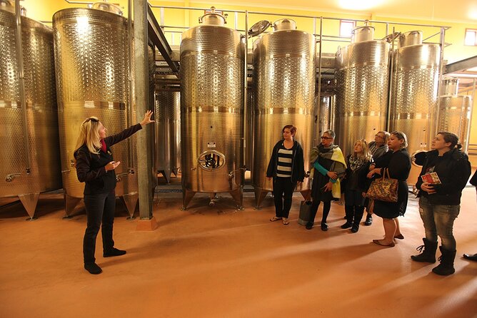 Award-Winning Hunter Valley Wine & Cheese Tour from Sydney - A full day from Sydney, with a coach that does the heavy lifting