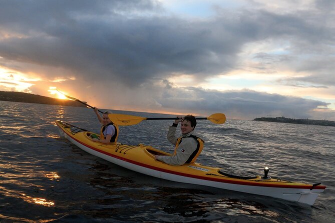 Beautiful Middle Harbour Sunriser / Guided Kayaking Private Tour - Price and value: what $319.57 per group buys you