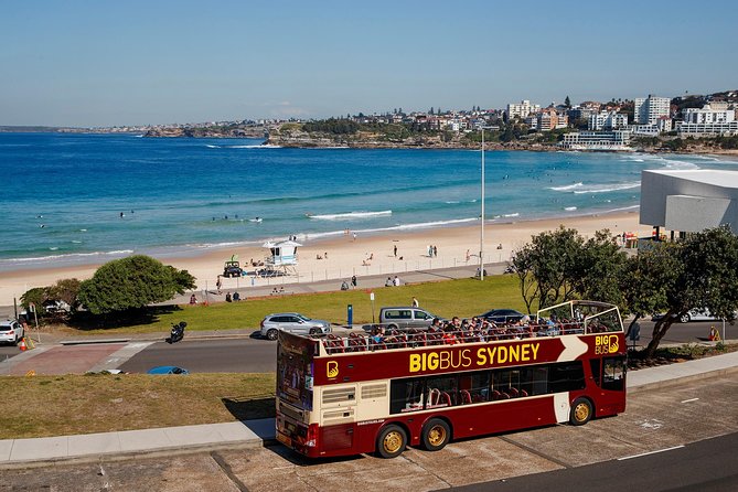 Big Bus Sydney and Bondi Hop-on Hop-off Tour - Price and Value: What You’re Really Paying For at $52.36