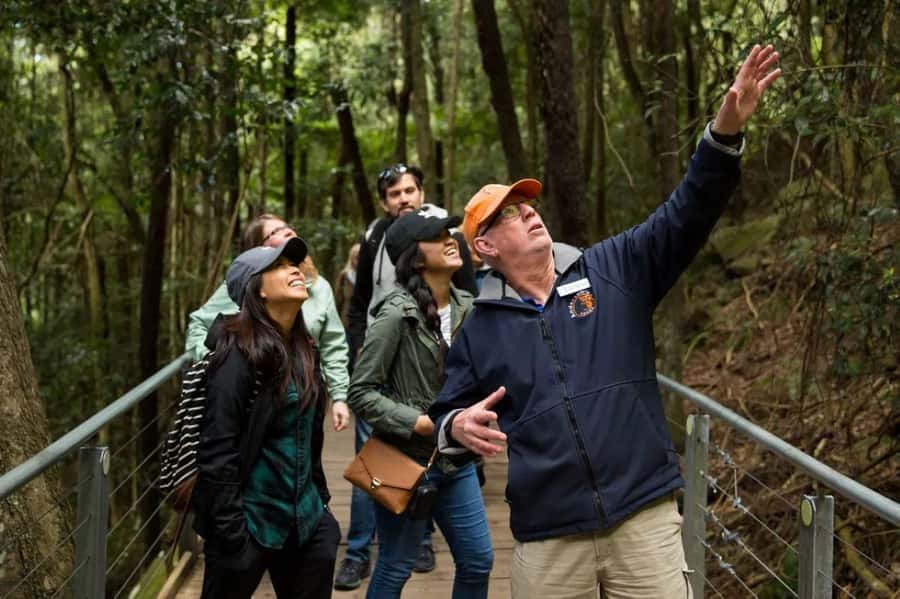 Blue Mountain Small Group Scenic World, Wildlife, Waterfall - Key things to notice before you go