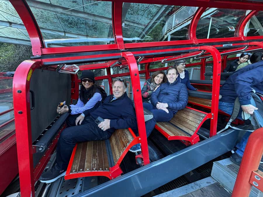 Blue Mountain Small Group Scenic World, Wildlife, Waterfall - Megalong Valley and the rainforest walk: where the Blue Mountains feel alive