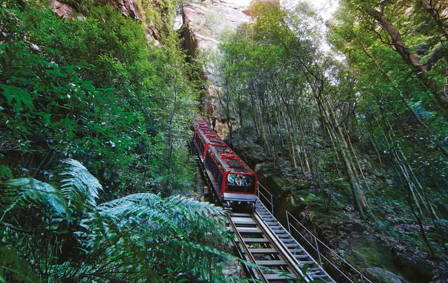 Blue Mountain Small Group Scenic World, Wildlife, Waterfall - Lunch at the mountain restaurant with dietary catering