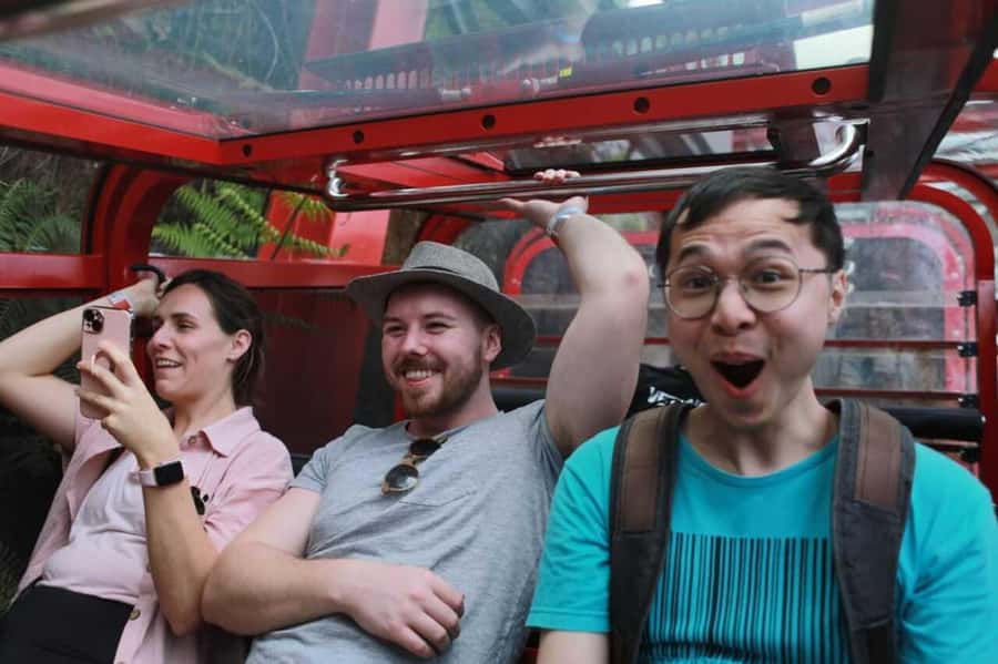 Blue Mountain Tour + Hop-on-Hop-off Big Bus Discover Ticket - Coach comfort, live commentary, and where you start