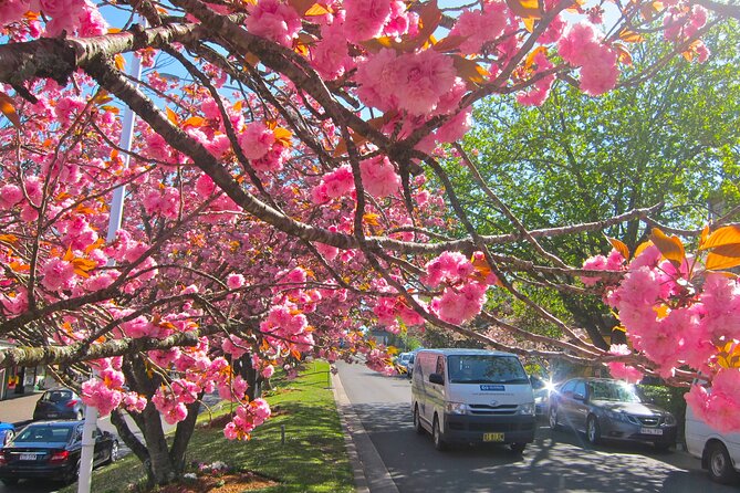 Blue Mountain Tour with Hop on and Hop Off Bus - Leura Village: the break that makes the day feel human