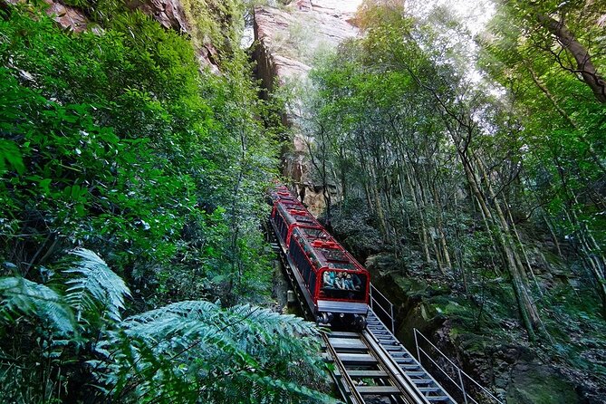 Blue Mountain Tour with Hop on and Hop Off Bus - Scenic World Discovery Pass: the rides that justify the ticket