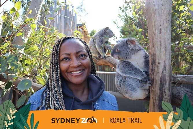 Blue Mountain Tour with Hop on and Hop Off Bus - Big Bus 24 hours in Sydney, with 34 stops for flexible landmark time