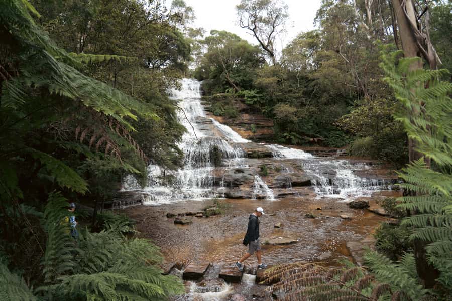 Blue Mountains Adventure: Scenic World, Zoo & Koala Photo - Scenic World Rides, the Real Reason This Tour Feels Like a Value Pick