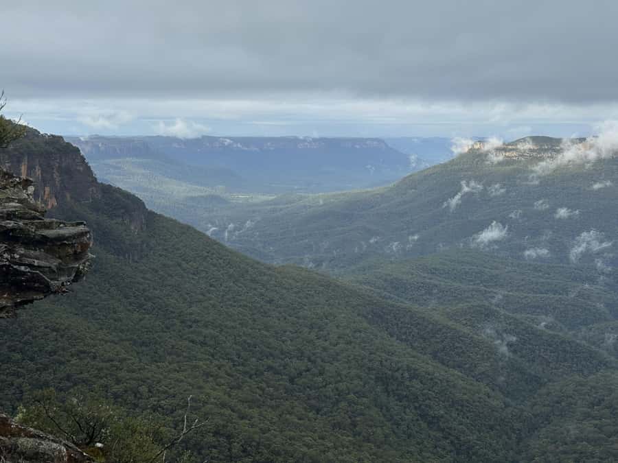 Blue Mountains Adventure: Scenic World, Zoo & Koala Photo - Who This Tour Fits Best, and Who Might Want to Skip It