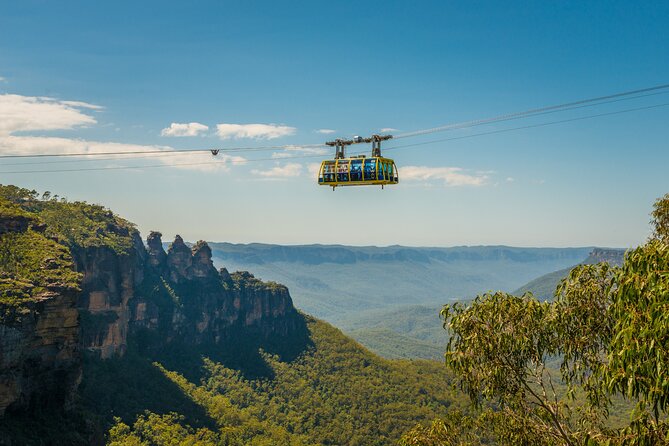 Blue Mountains Adventure w Scenic World, Zoo, Koala Photo & Ferry - Stop 4, Scenic World: three rides plus a guided rainforest walk
