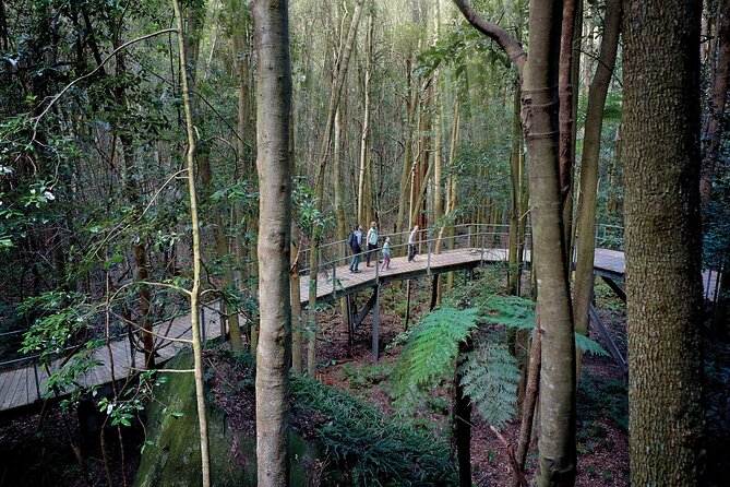Blue Mountains Adventure w Scenic World, Zoo, Koala Photo & Ferry - Getting rolling early: pickup, timing, and what the day feels like
