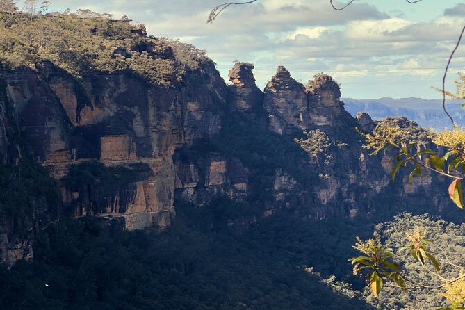 Blue Mountains and Australian Native Animals - Key Points I’d Prioritize