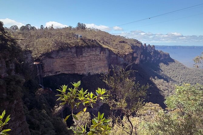 Blue Mountains and Australian Native Animals - Starting at 8:00 am, Private, and Built for Real Blue Mountains Time