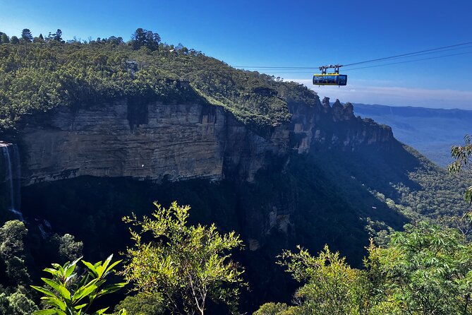 Blue Mountains and Australian Native Animals - How the 9-Hour Schedule Feels on Your Feet