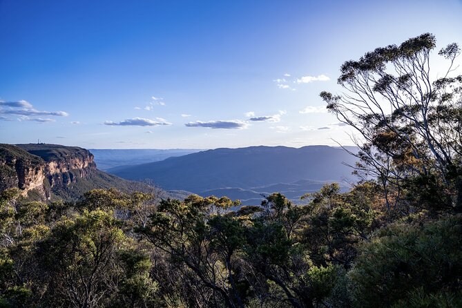 Blue Mountains and Australian Native Animals - Price Breakdown for $918.07 per Group and Who Gets Best Value