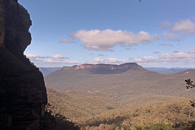 Blue Mountains and Australian Native Animals - Weather, Clothing, and Comfort Tips for a Smooth Day