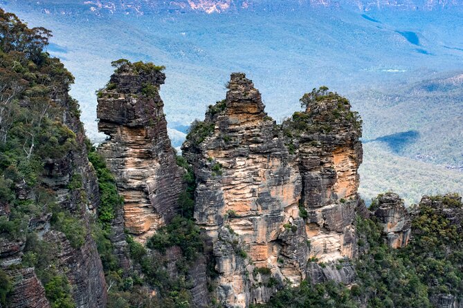 Blue Mountains Big Day Out - Private Tour - Featherdale Wildlife Park: close encounters that actually feel personal