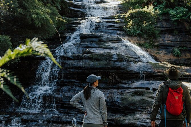 Blue Mountains Day Tour : Featherdale & Bush walk (15 ppl LUX) - Three Sisters and Echo Point: iconic viewpoints, short and sweet