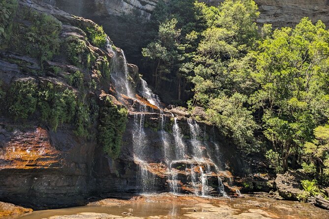 Blue Mountains Day Tour : Featherdale & Bush walk (15 ppl LUX) - Featherdale Wildlife Park: koalas and kangaroos up close