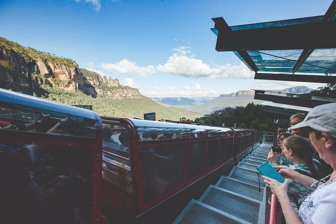 Blue Mountains Day Tour with Wildlife, Walks and Scenic World - Blue Mountains National Park bushwalks: uneven ground, good pacing